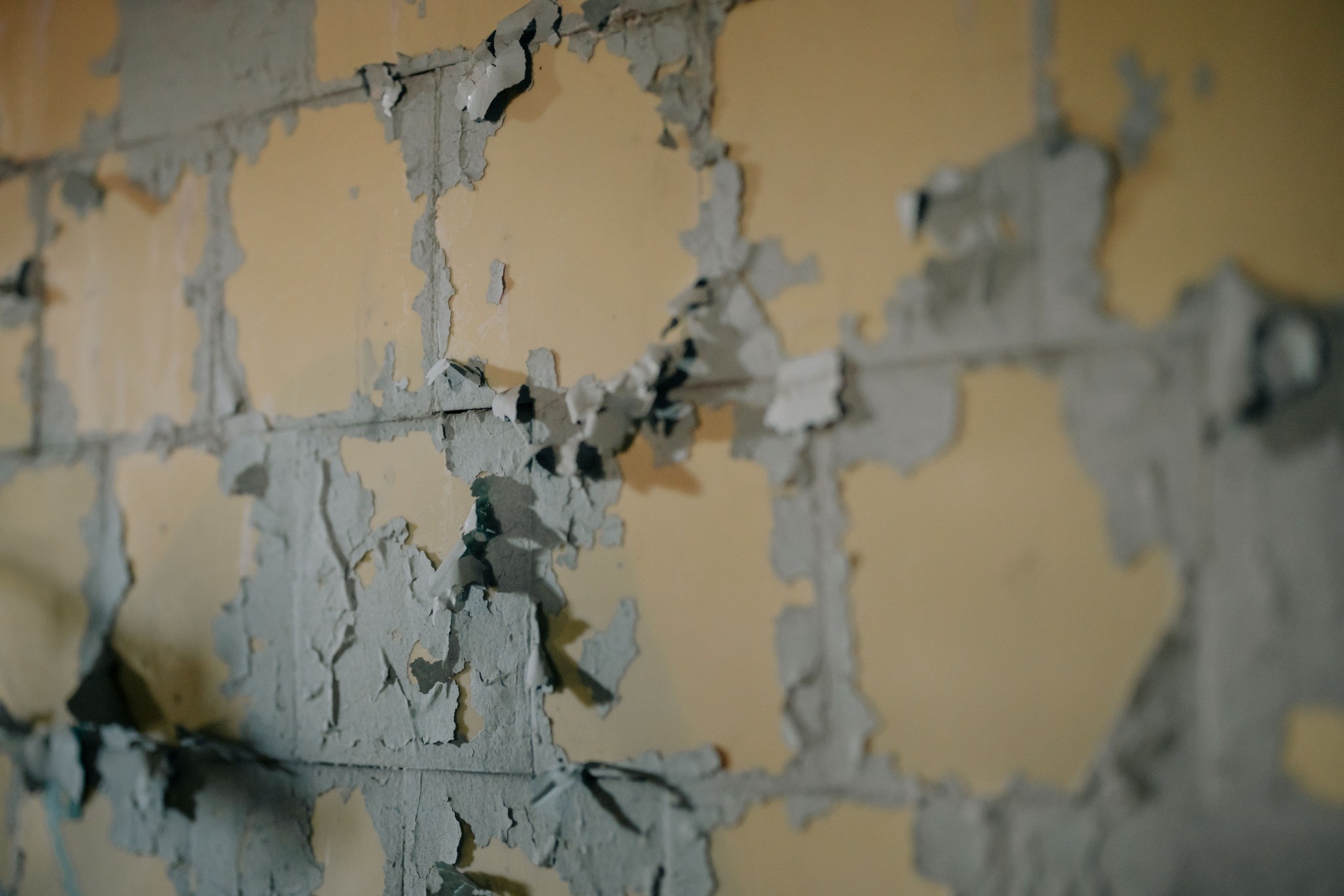 Lead-Based paint on basement wall